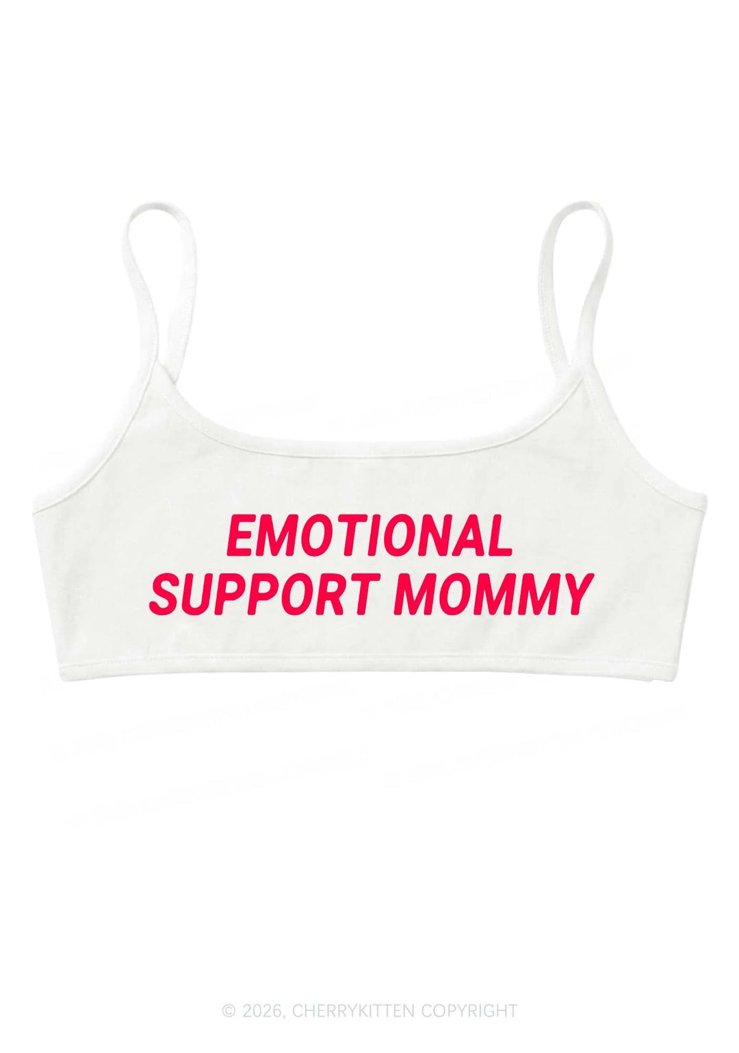 Transgender Flag Pride Y2K Print Bikini Set Cherrykittens (Copy) (Copy)