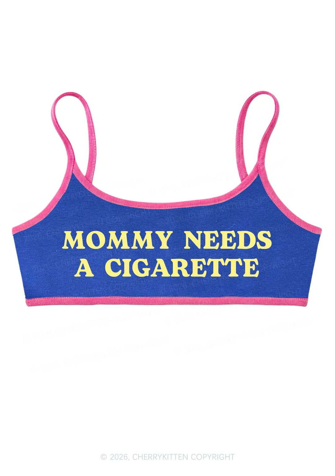 Transgender Flag Pride Y2K Print Bikini Set Cherrykittens (Copy) (Copy)